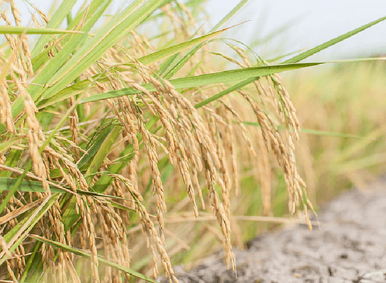 扶貧成果展覽館多媒體互動展示